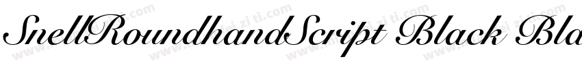 SnellRoundhandScript Black BlackI字体转换